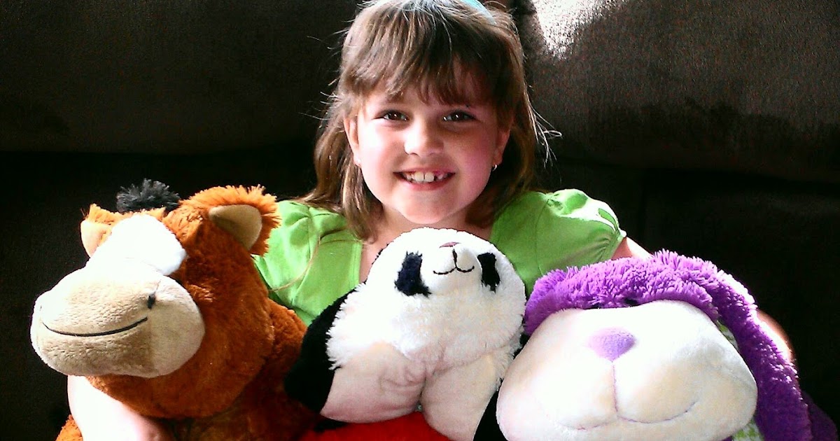 Being Frugal and Making It Work It's a Pillow, It's a Pet... It's a