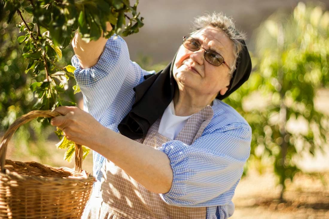 Con frutas de nuestro huerto