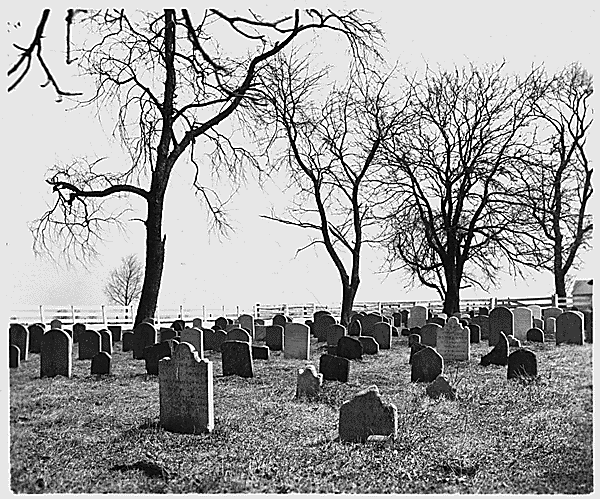 Amish_cemetery.gif