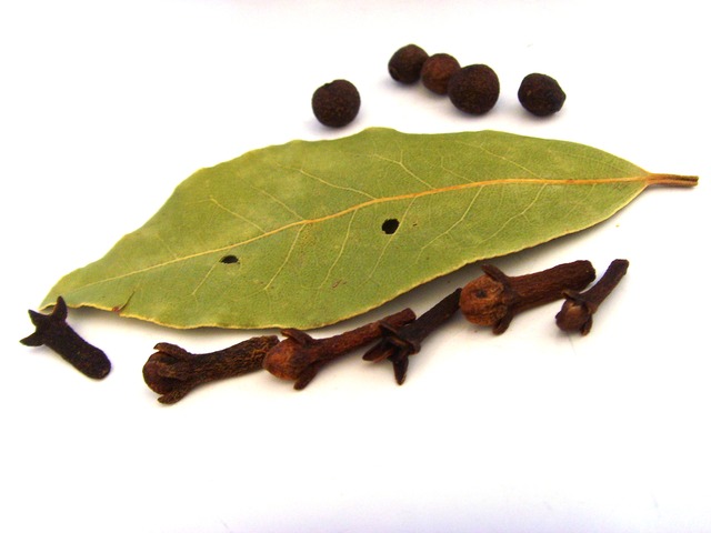 Daun Cengkeh