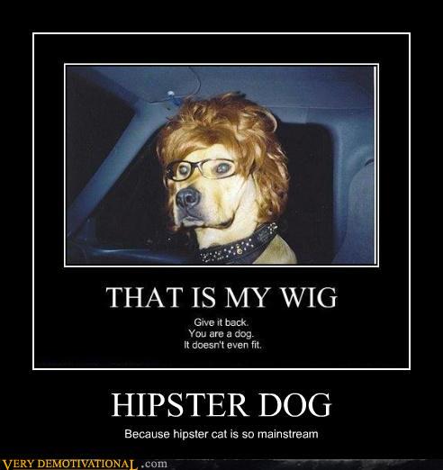 hipster-dog-demotivational.jpg