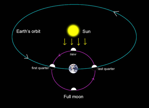 Earth Sun Orbit