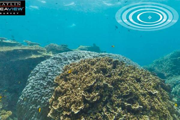 Google Ocean Reveals Beauty of Great Barrier Reef Google Ocean Reveals Beauty of Great Barrier Reef