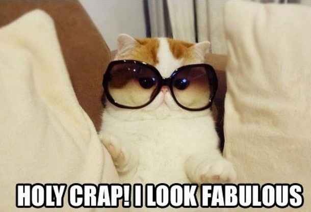 But these are for girls, LOLcats, funny cats, funny cat pictures