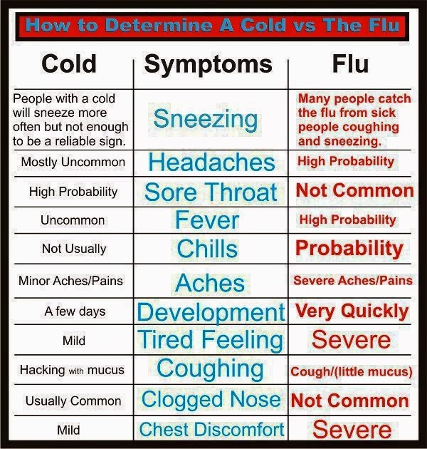 My Health Care October 2013