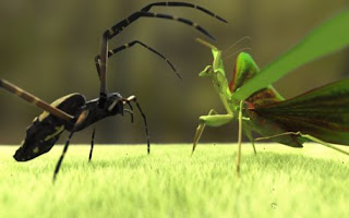 mantis vs praying fight spider widow win would