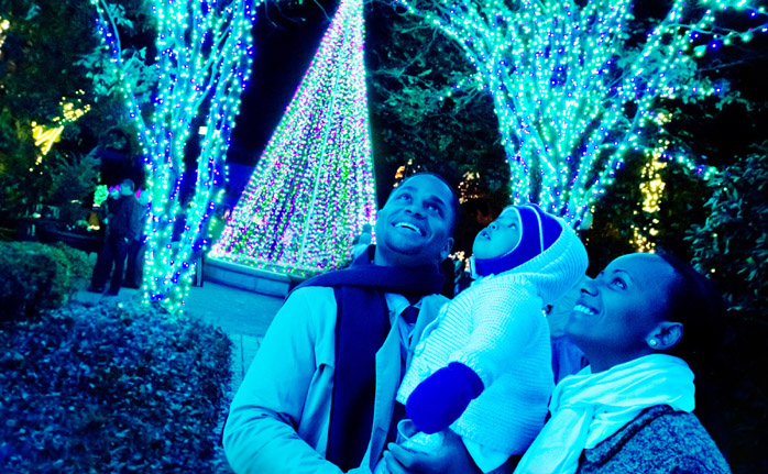 The Botanical Gardens Tips To Visit Garden Lights Atlanta