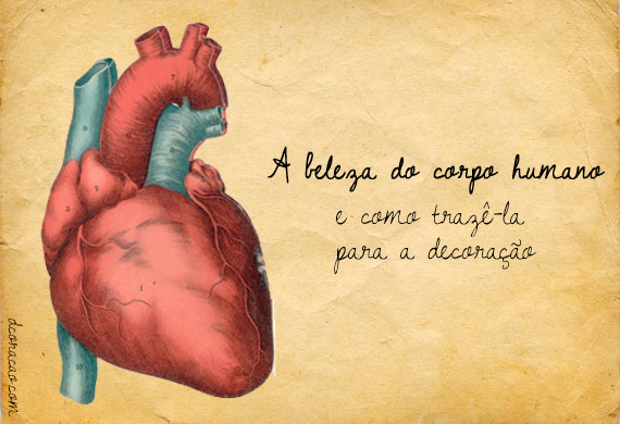 Featured image of post Wallpaper Anatomia Coração - Tudo o que compõe a anatomia do meu problemático coração.