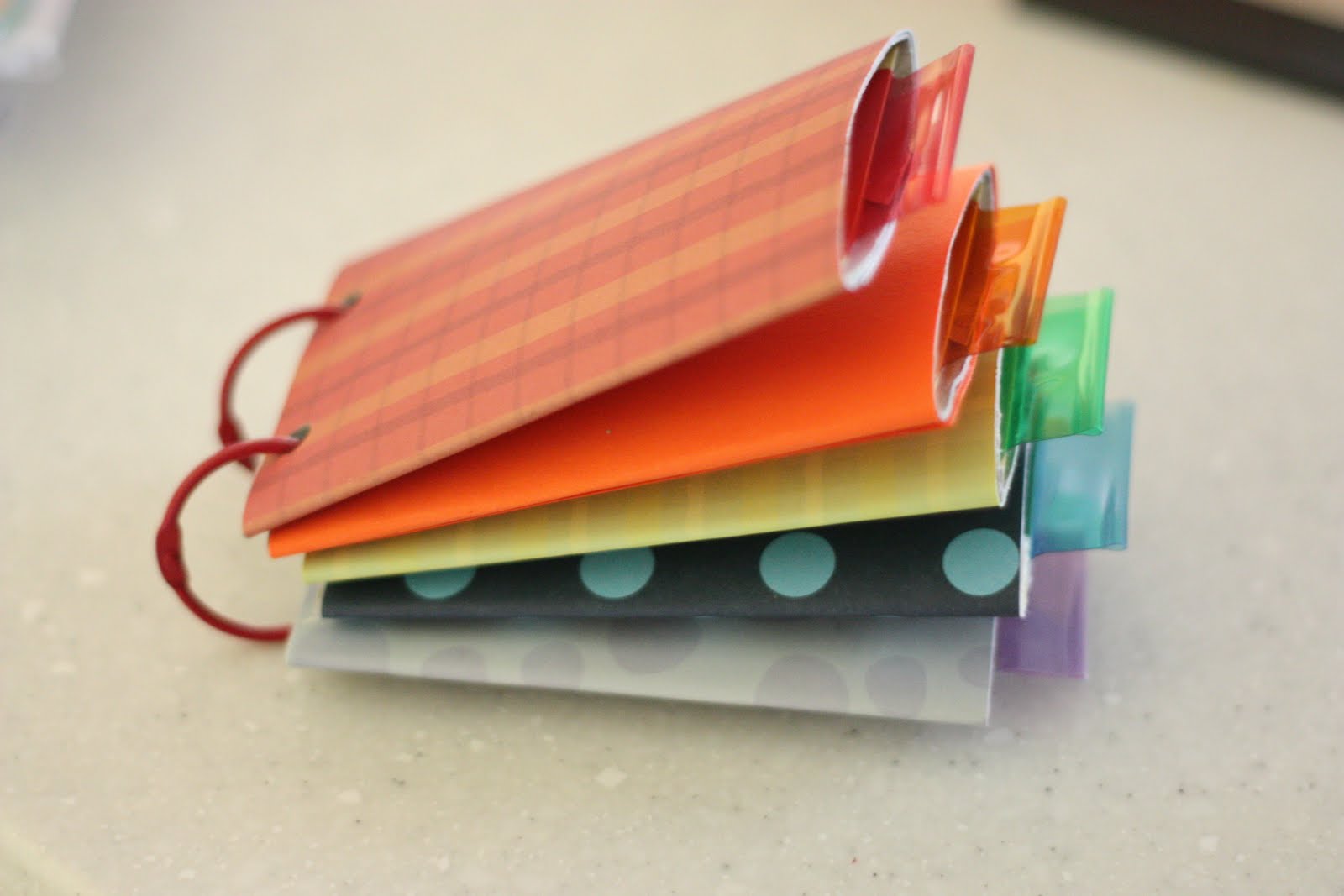 Toilet Paper Roll Book (with pull tabs) I Can Teach My Child!