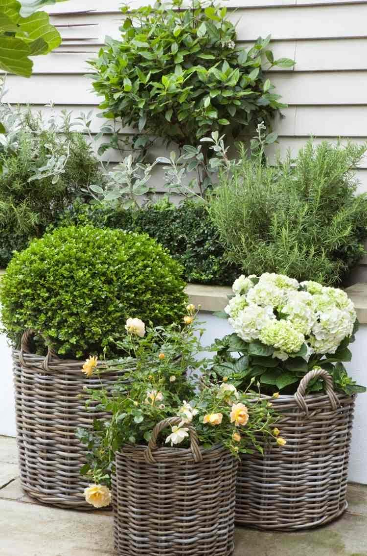 garden designs for small gardens, placed shrubs in large baskets