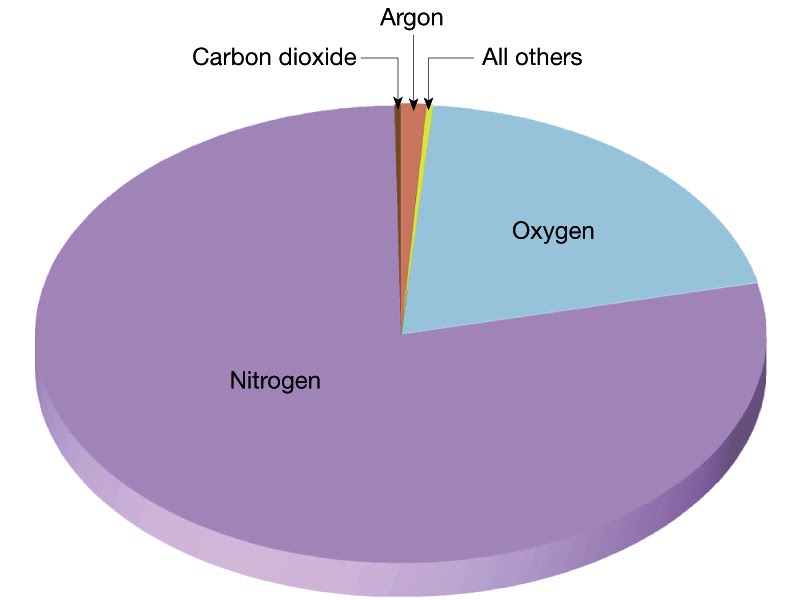 Pie Chart Showing Gases In The Air