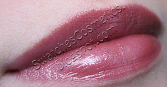 Swatches Cosmetics Свотчи Косметики Губная помада для губ Lipstick Yves Saint Laurent №105
