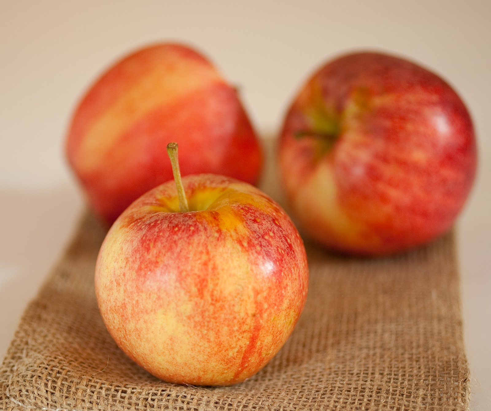 Tish Boyle Sweet Dreams Sour Cream Apple Crumble Bars