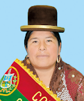 H. Carmen Rosa Colque Gutierrez