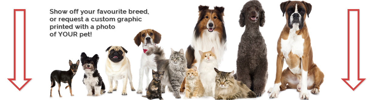 All Breeds of Dogs and Cats