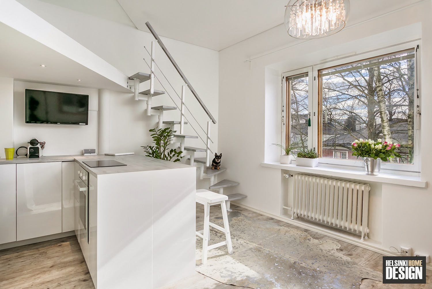 Helsingin Helmeksi Pieni koti, pienet murheet Helsingin Helmeksi Pieni koti, pienet murheet