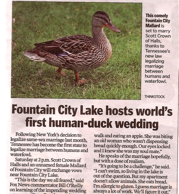 Lyrics of Love and Lore: Will You Marry Me? Quack Quack Waddle Waddle