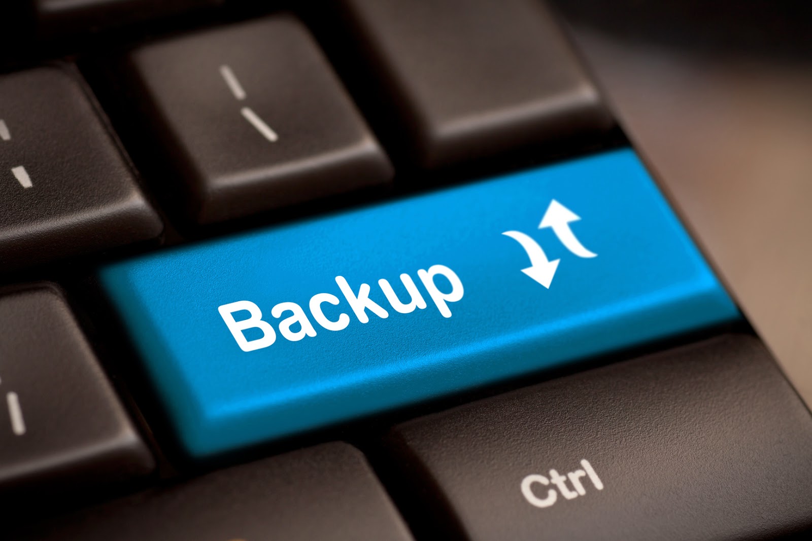 backup hosting