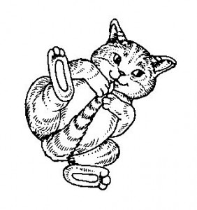 Black N White Jammin Cats Anime