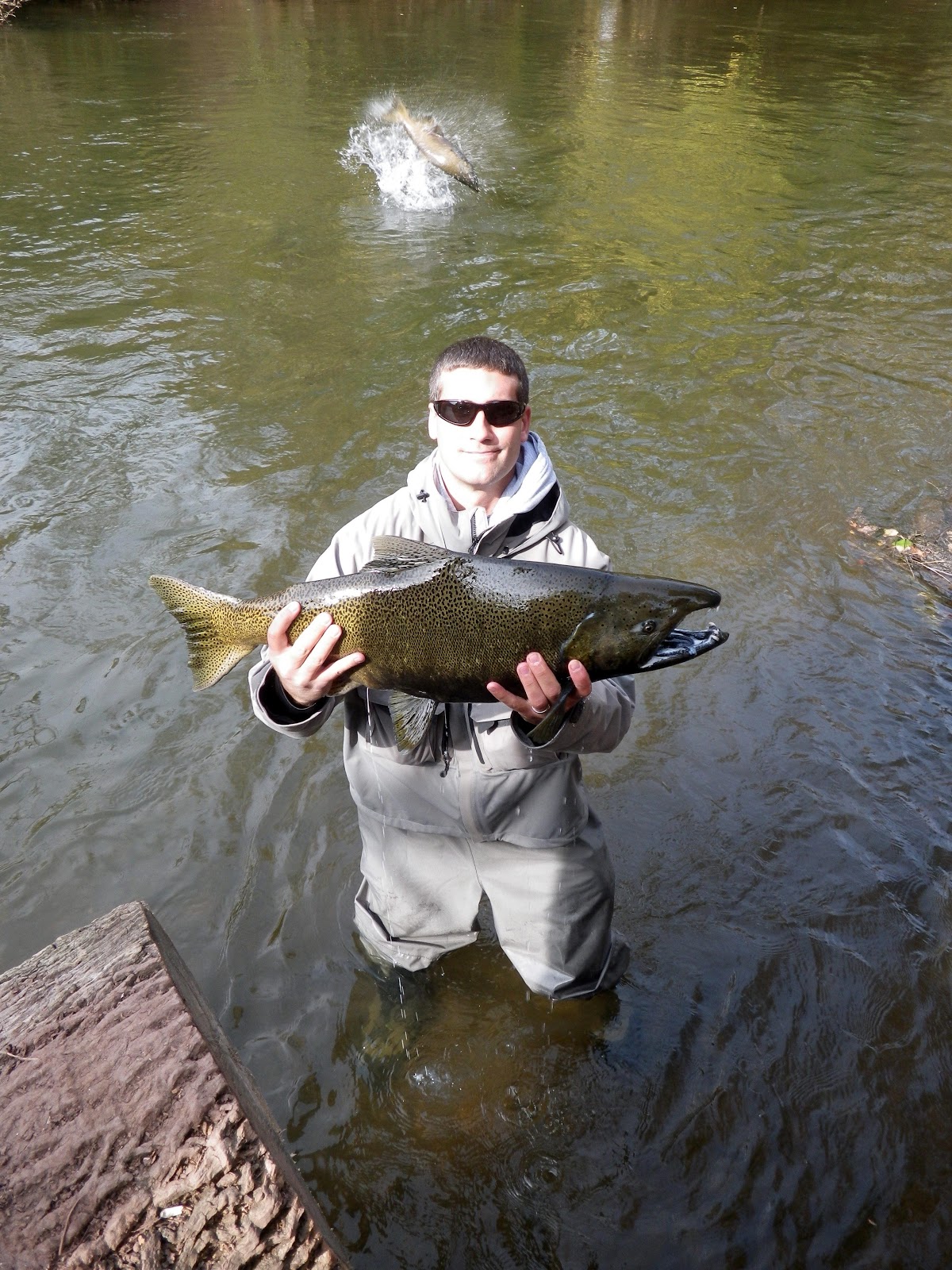 Ohio Fishing Source Salmon and Browns
