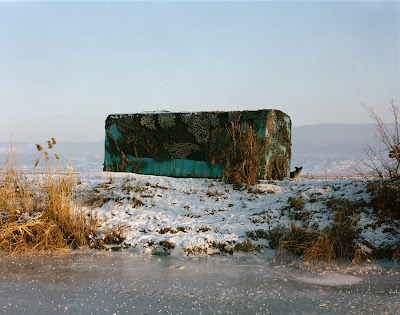 2004