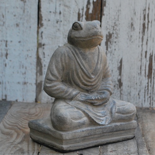 Buddhist Frog