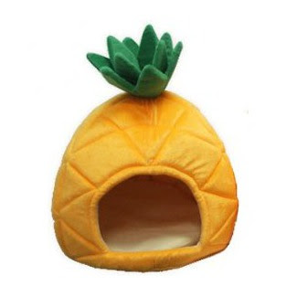 are pineapples for dogs pineapple bed 28 images pineapple bed gifts t shirts posters other gift are pineapples for dogs pineapple bed 28 images pineapple bed gifts t shirts posters other gift