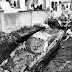 The full story of the Dino that was dug up out of a yard in 1978