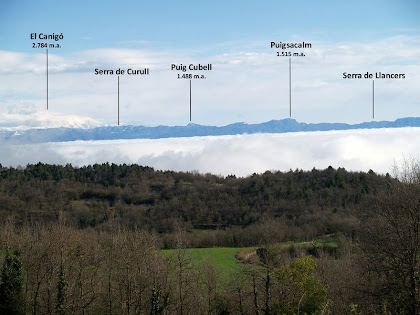Panoràmica cap al nord amb el Puigsacalm i el Canigó Panoràmica cap al nord amb el Puigsacalm i el Canigó