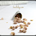 Salted Peanuts / Khari Sing / Falli