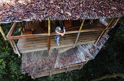 Finca Bellavista Treehouse Costa Rica Finca Bellavista Treehouse Costa Rica