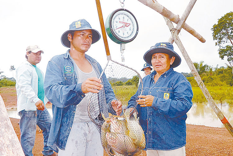 Identifican factores críticos de la piscicultura en áreas tropicales - Bolivia informa Pesca en Bolivia