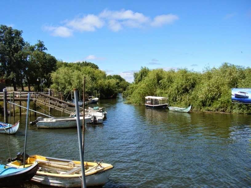 barcos no tejo