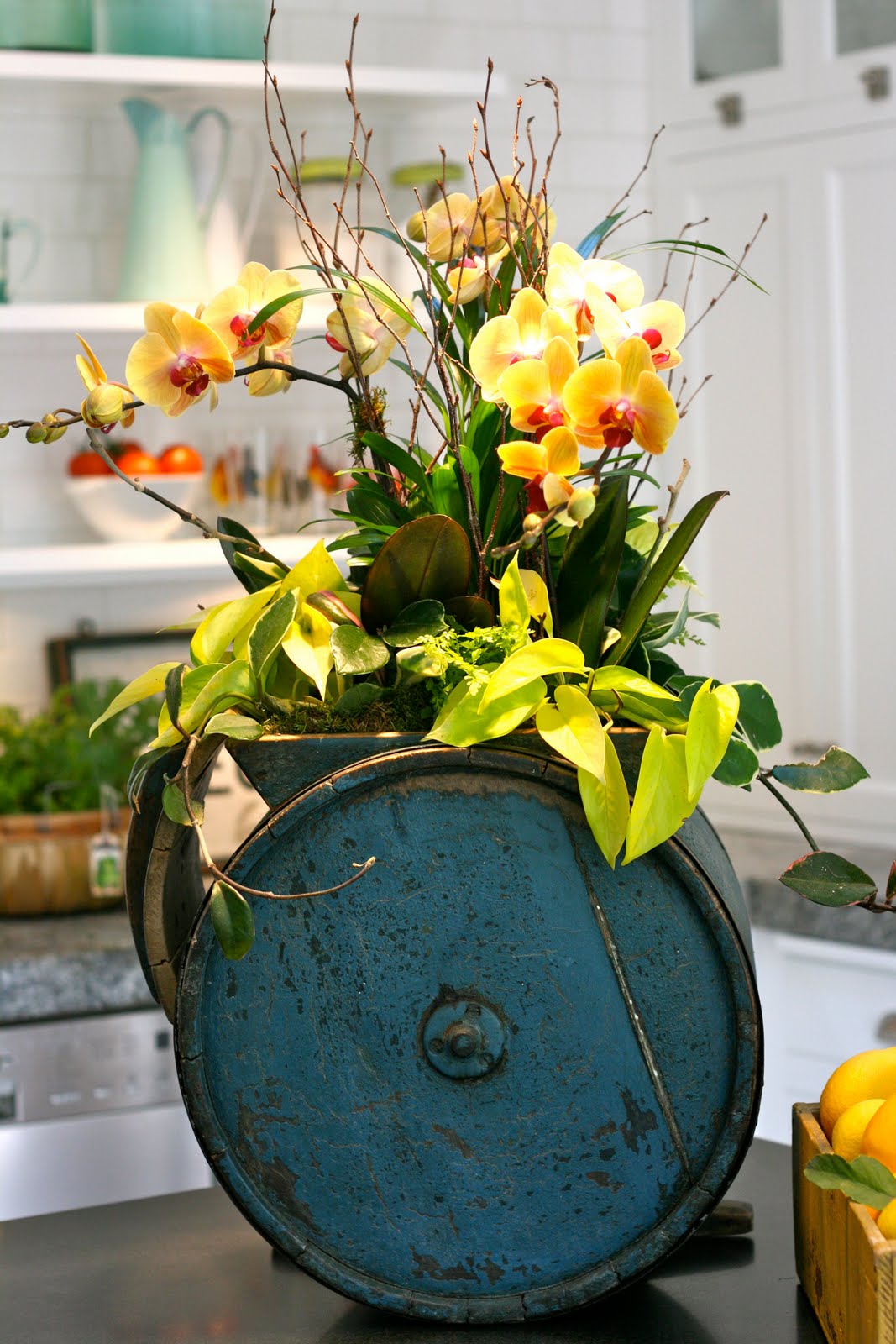 The Polished Pebble Flowers and Friends