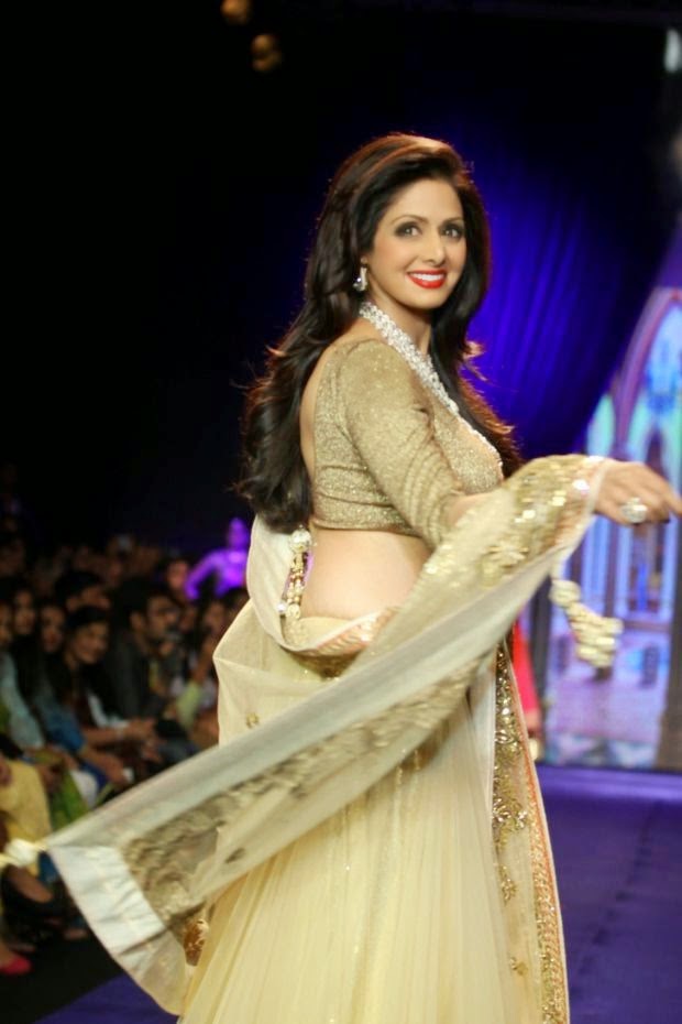 Sridevi Hot HD Wallpapers 2014 Sridevi Hot HD Wallpapers 2014