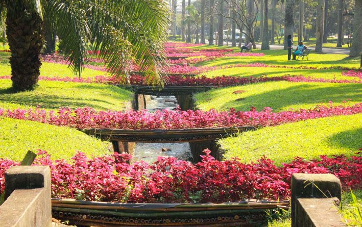flor do jardim tiete:Rose Dutra: Instalação colore Jardim Botânico flor do jardim tiete:Rose Dutra: Instalação colore Jardim Botânico