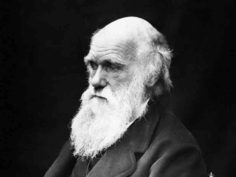 A Perigosa Ideia De Darwin Daniel Dennett Pdf Download