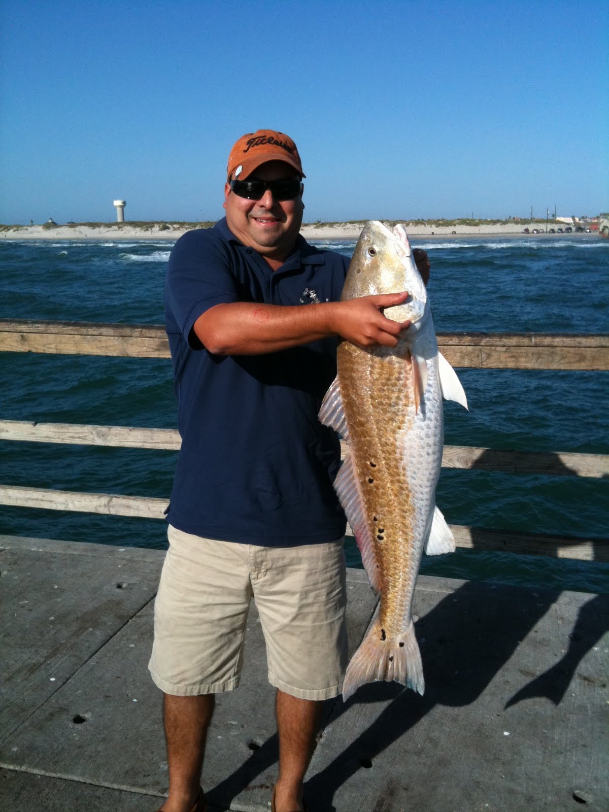Bull Redfish