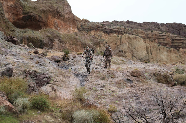 Desert+Bighorn+Sheep+Hunt+Photos+in+Arizona+Unit+15D+with+Colburn+and+Scott+Outfitters.++Sheep+Guides+8.JPG
