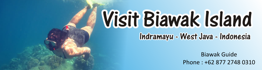 Biawak Island Indramayu