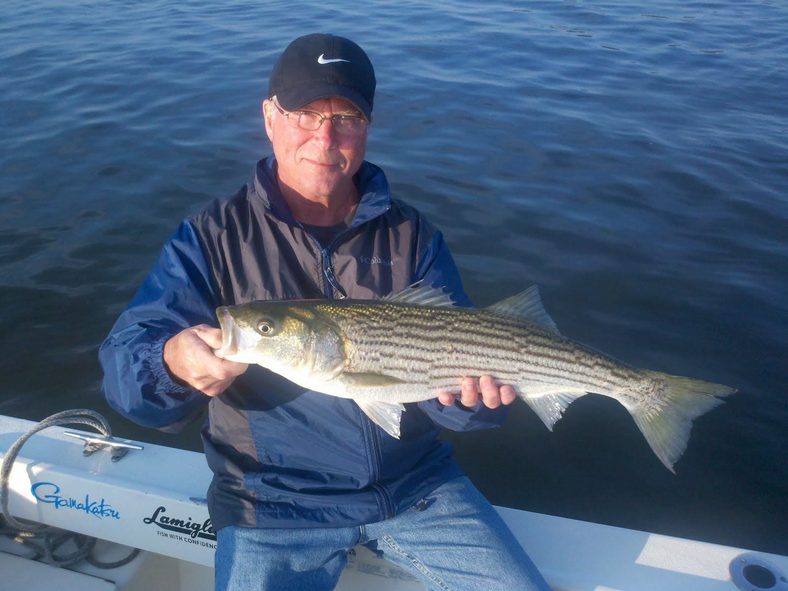 Maine Striper Fishing Charters & Reports Hotline 2076910745 Maine