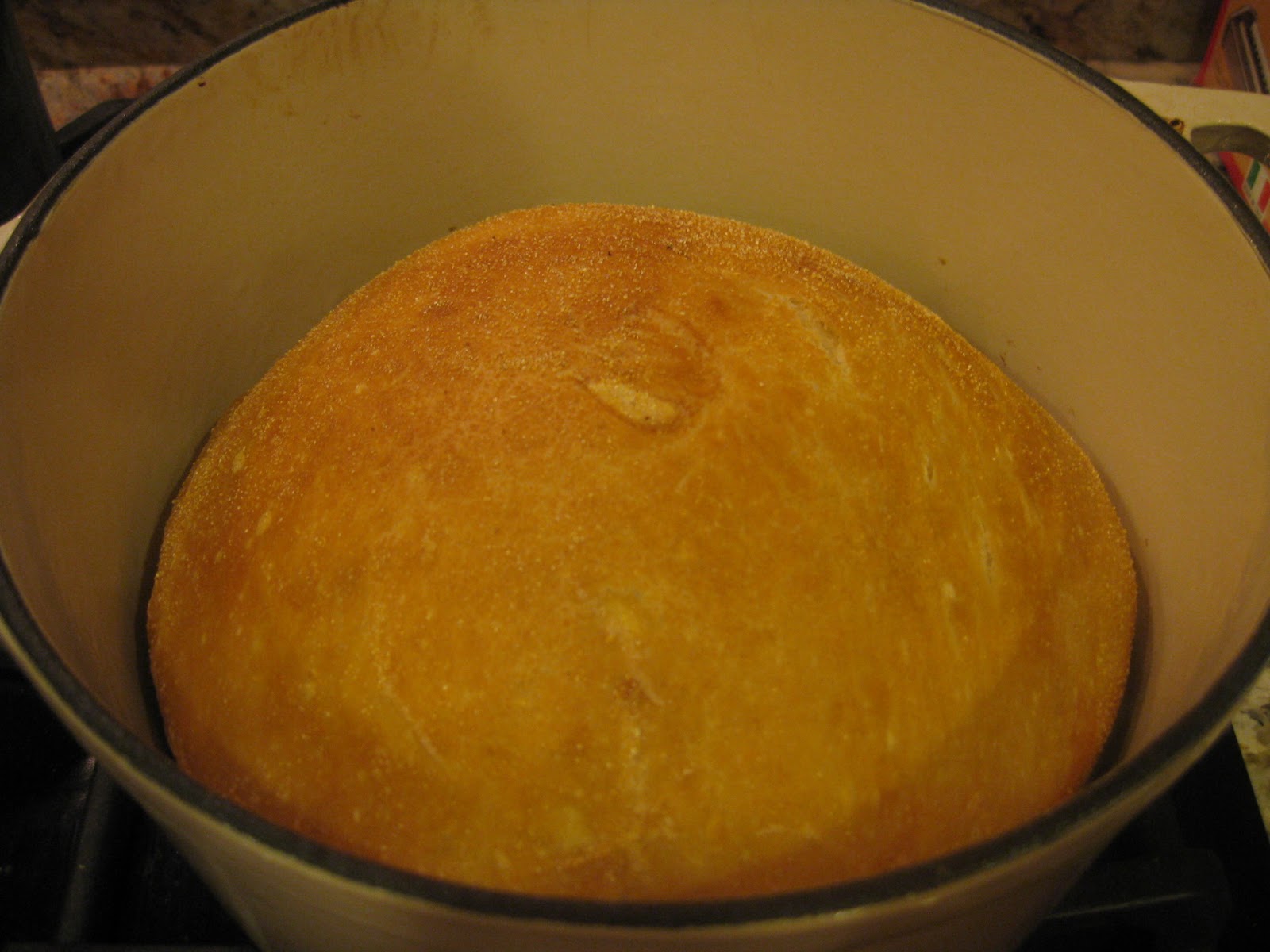 Knead Not Sourdough Bread (originally from Alton Brown) A Baker's House