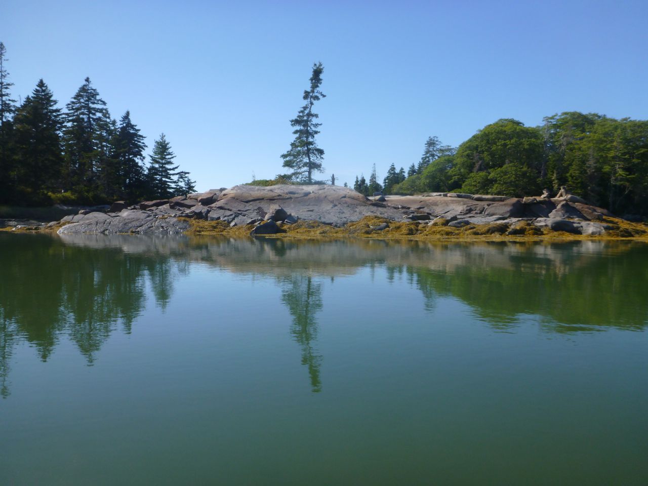 Sea Kayak Stonington Seal Bay, Vinalhaven