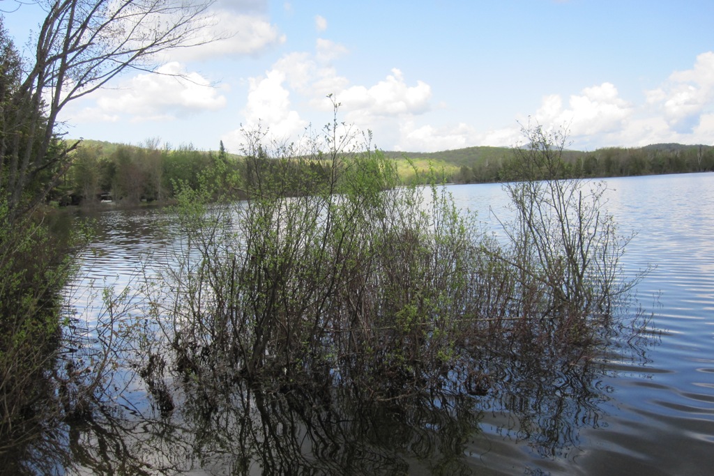 Windswept Adventure The Adirondack Town Of New York