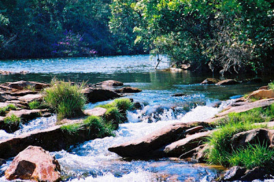 Rio Água, Terra, beber água, planeta, sustentabilidade, desidratamos, Dia Mundial da Água, preservação ambiental,