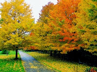 Итоги 80-й недели инвестирования в ПАММ-счета Fx-trend Итоги 80-й недели инвестирования в ПАММ-счета Fx-trend