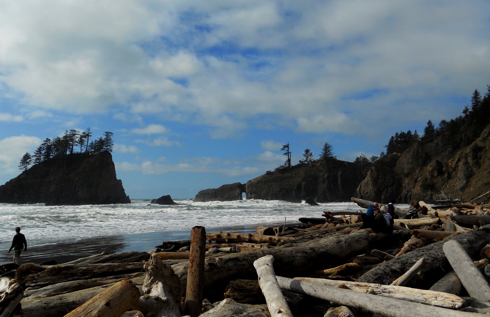 Diving into the Wreck On the importance of setting (Forks, Washington