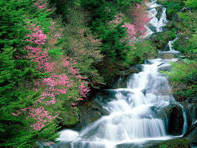 Linda cascada adornada de flores