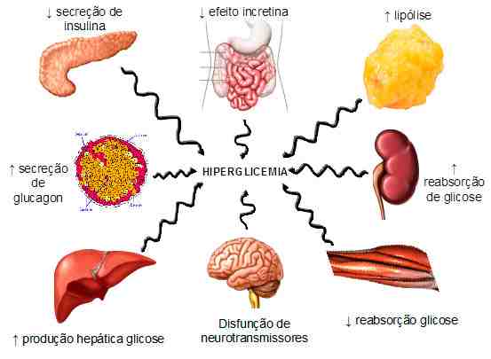 diabetes mellitus causes and effect The impact of diabetes mellitus on mortality from all causes and coronary heart disease in women 20 years of follow-up frank b hu, md meir j stampfer,. diabetes mellitus causes and effect The impact of diabetes mellitus on mortality from all causes and coronary heart disease in women 20 years of follow-up frank b hu, md meir j stampfer,.