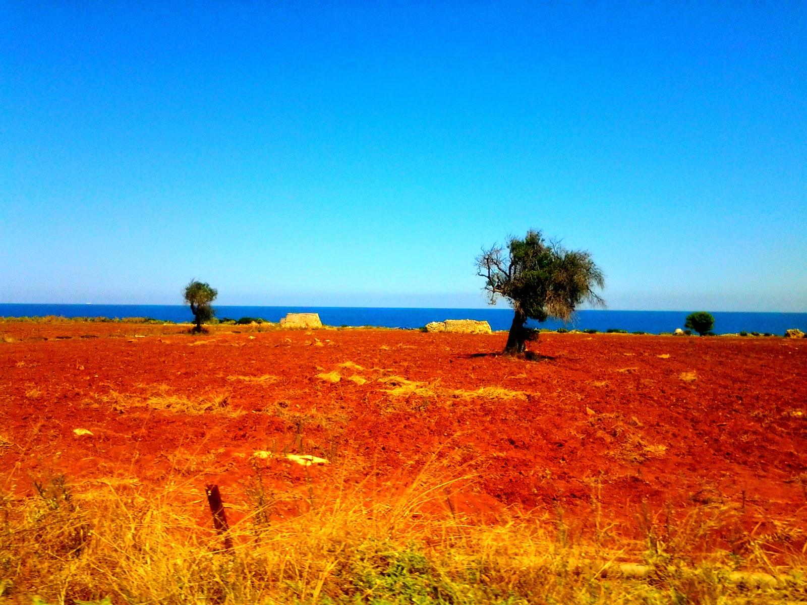Autostrada del Sole Apulia mon amour